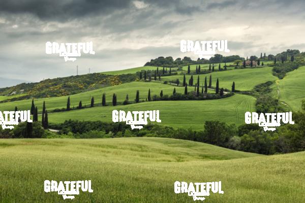 Tuscan Road
