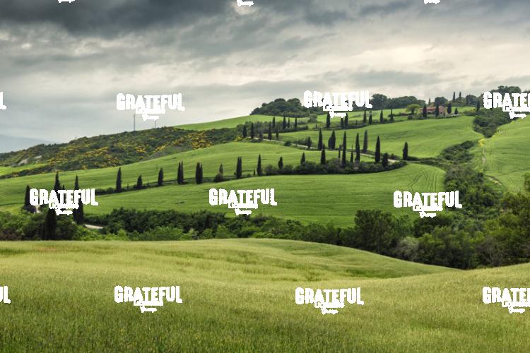 Tuscan Road