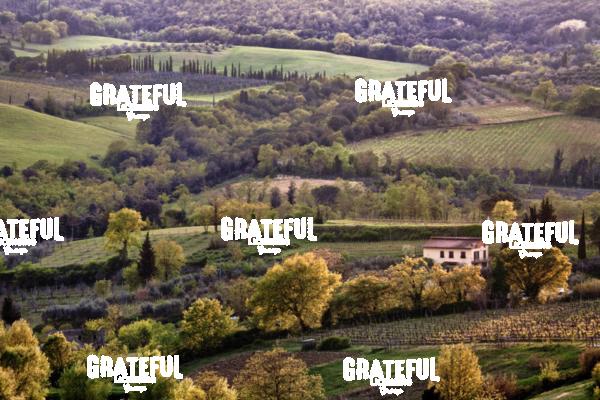 San Gimignano in Tuscany