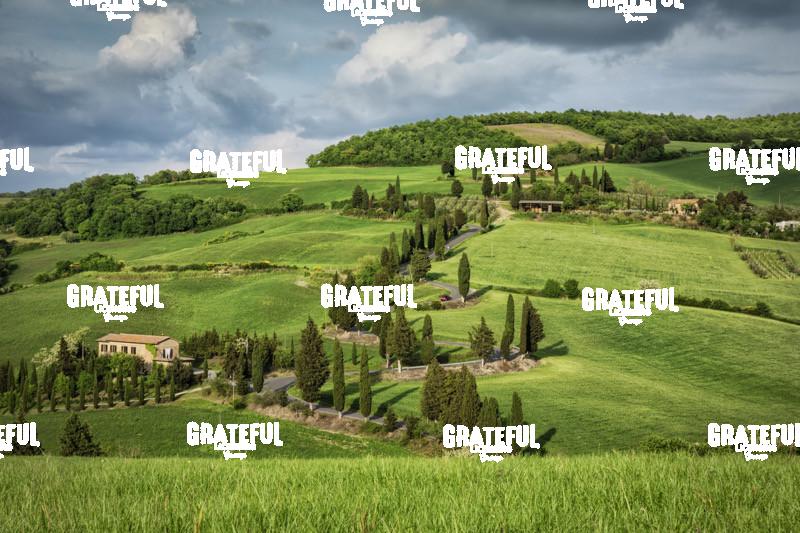 Winding Road in Monticello Tuscany