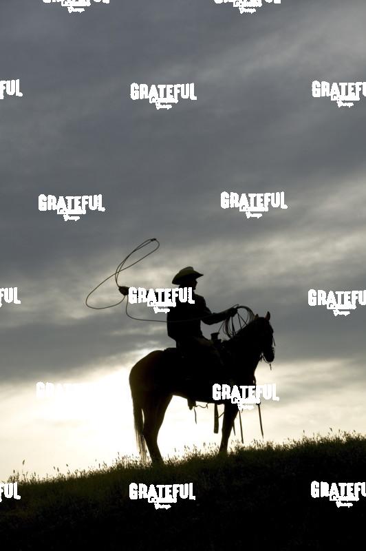 Cowboy with Lasso