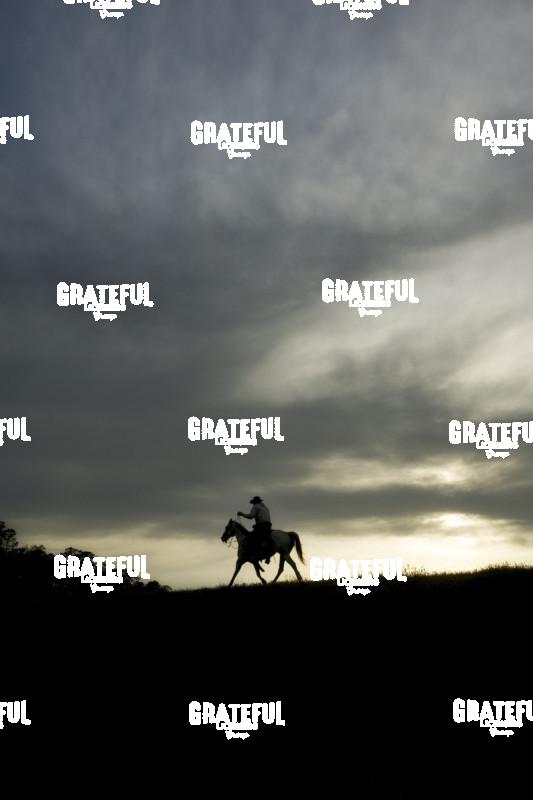 Cowboy running on his horse