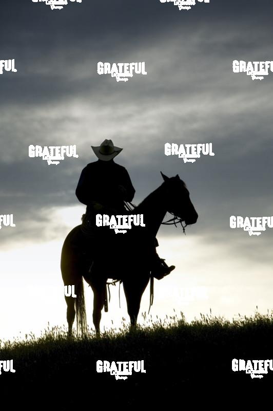 Cowboy on his horse at sunset
