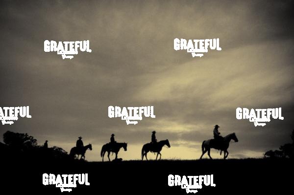 Cowboy and horses riding on a trail