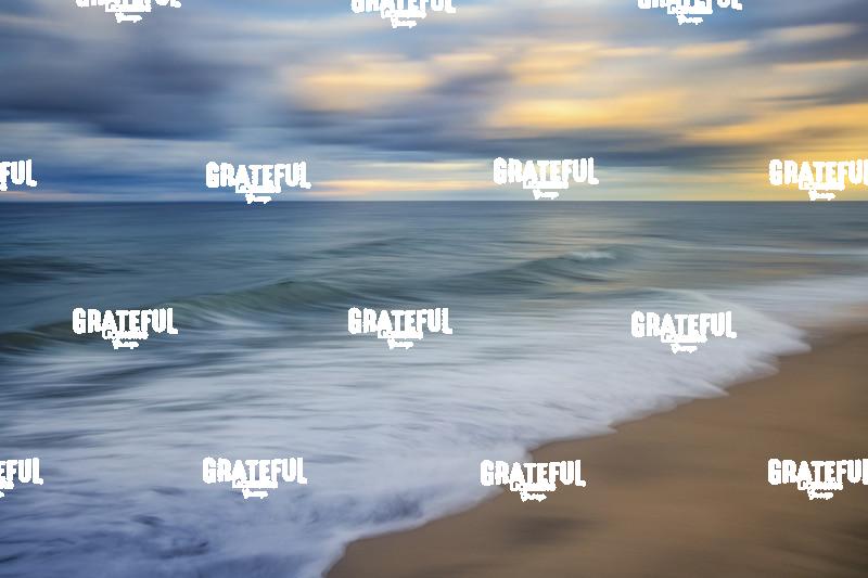 Stunning coast of Cape Cod, MA 6