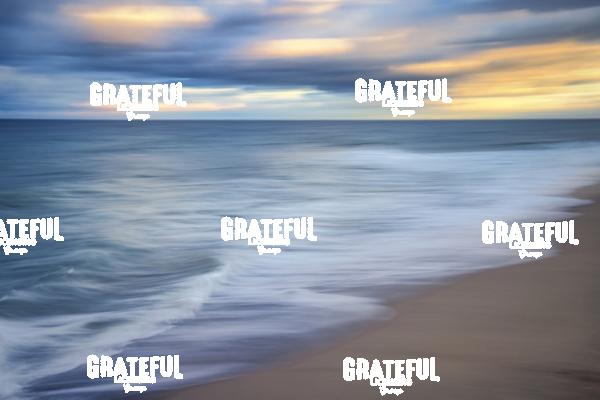 Stunning coast of Cape Cod, Massachusetts 7