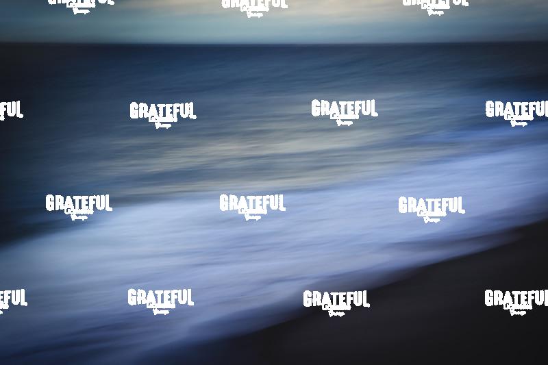 The soft coast of Cape Cod, Massachusetts 3