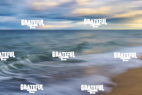 Stunning Coast of Cape Cod, Massachusetts 5