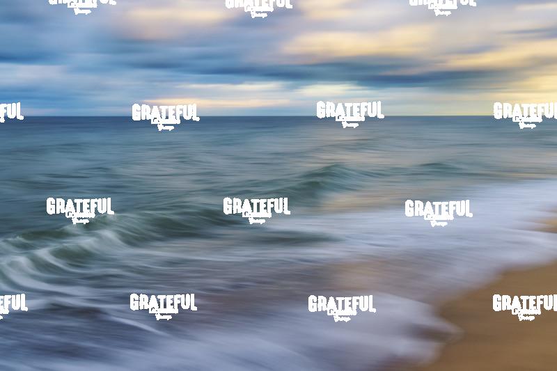 Stunning Coast of Cape Cod, Massachusetts 5