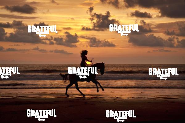 Horseback riding at sunset in Costa Rica
