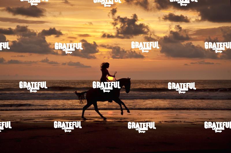 Horseback riding at sunset in Costa Rica