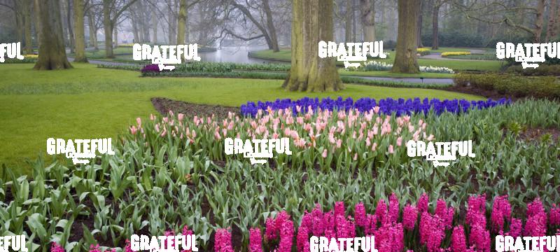 Keukenhof Gardens of Europe, Amsterdam, Holland