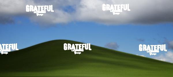 Green wheat fields of the Palouse, Washington 2