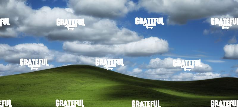 Green wheat fields of the Palouse, Washington 3
