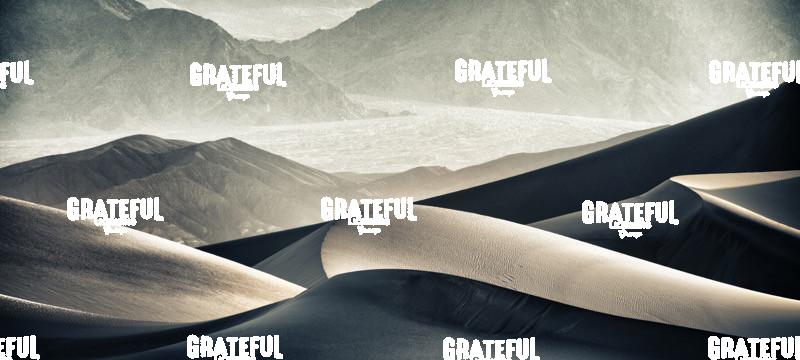 The Mesquite Sand Dunes in Death Valley, California 6