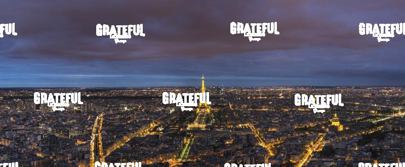 Paris and Eiffel Tower panorama
