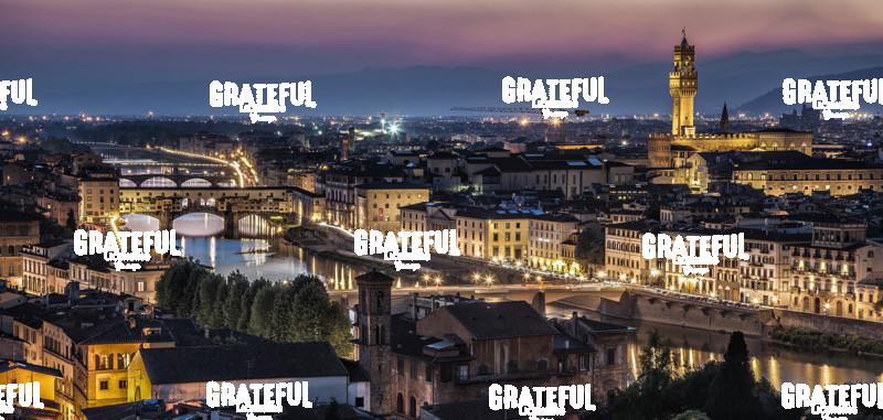 Panorama above Florence, Italy at sunset III