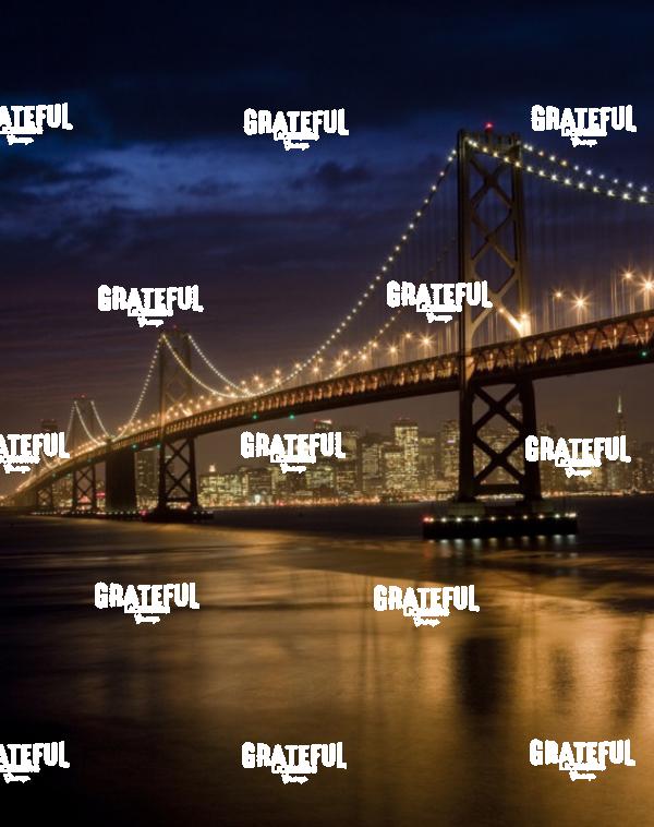 Oakland Bay Bridge in San Francisco 2