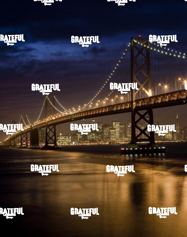 Oakland Bay Bridge in San Francisco 2