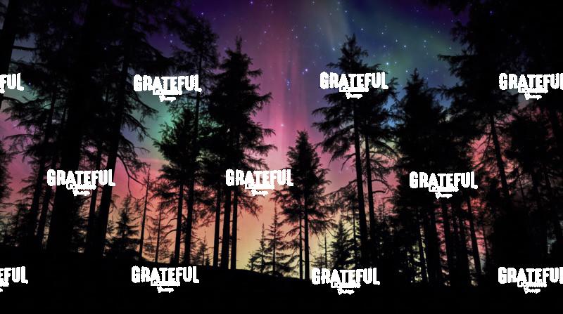 Aurora Borealis Canada