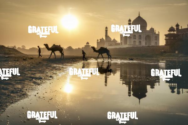 Camel and owner in the river behind the Taj Mahal 2