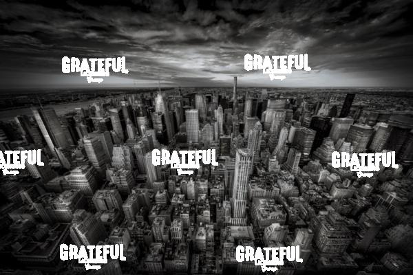 View from the top of the Empire State Building