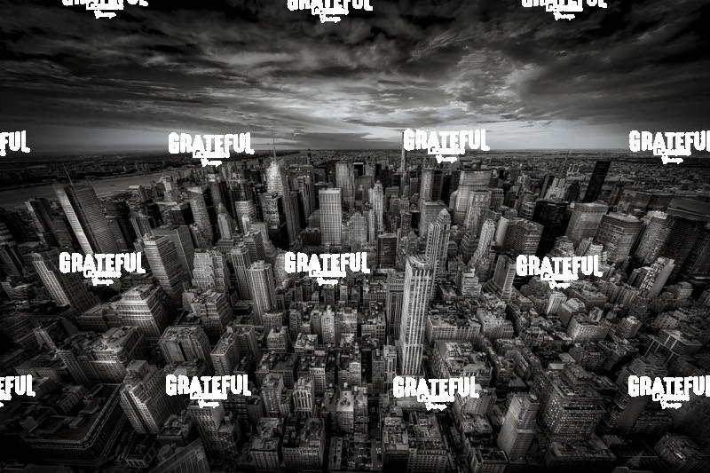 View from the top of the Empire State Building