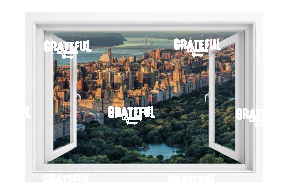 Window View of Central Park & New York City Skyline
