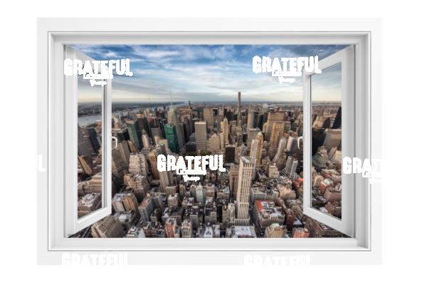 Window View of New York City Skyline 2