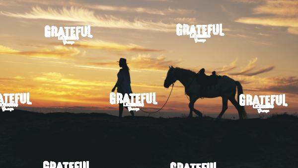 Cowgirl Walking Horse in Silhouette at Sunrise