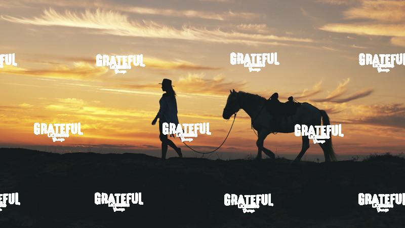 Cowgirl Walking Horse in Silhouette at Sunrise