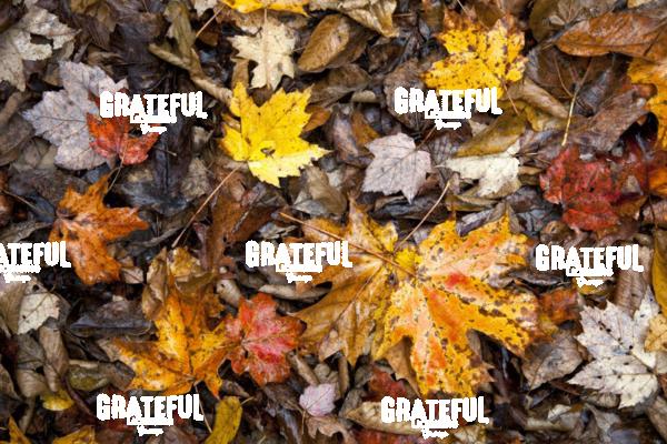 Fall Color in Vermont