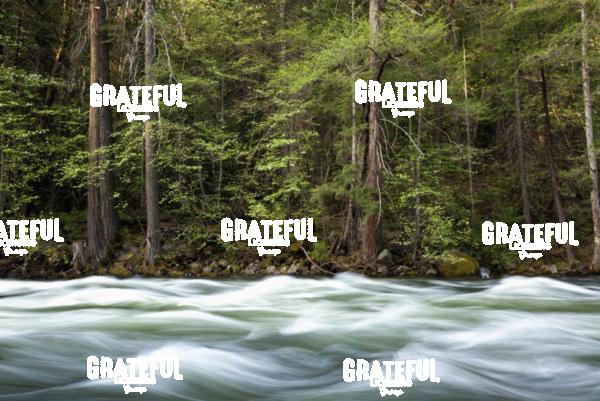 Merced River in Yosemite
