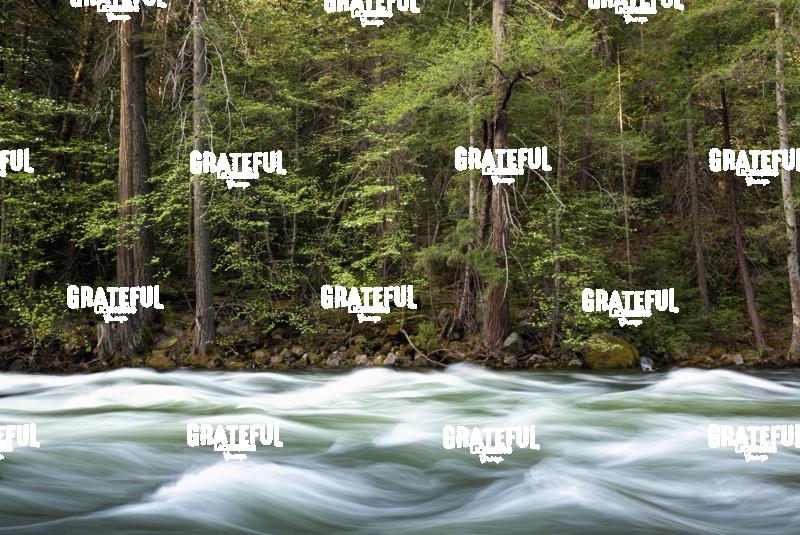 Merced River in Yosemite