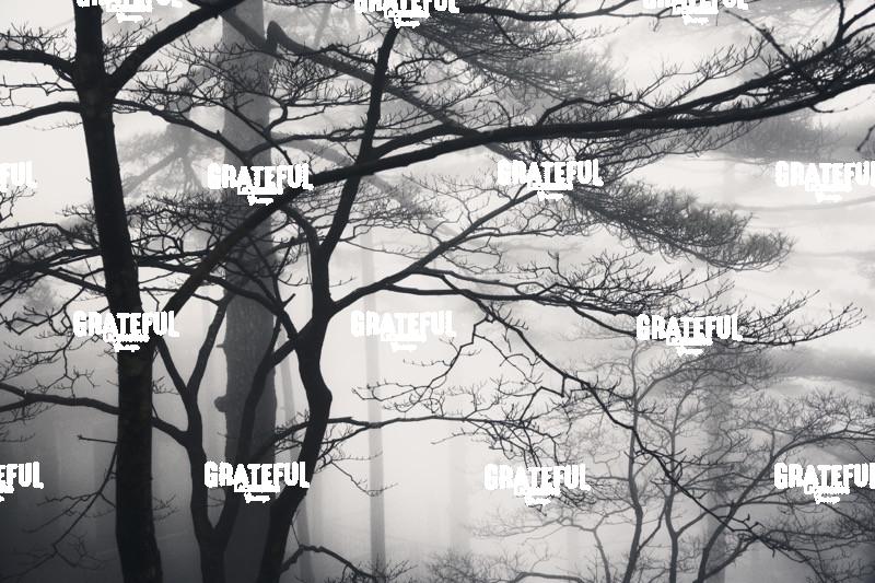 Yellow Mountains in China 2