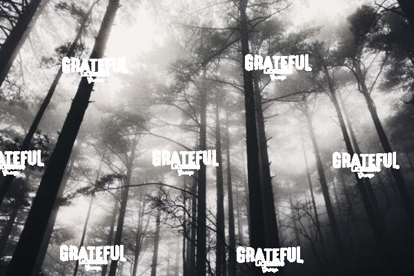 Yellow Mountains in China