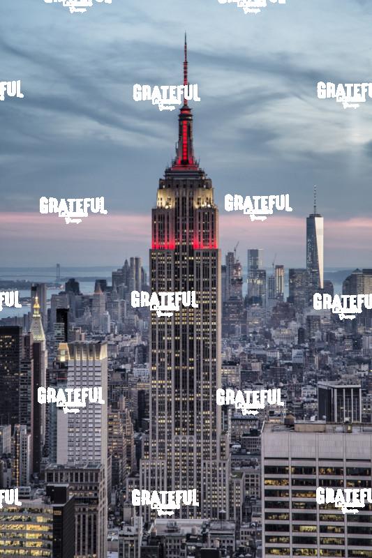 Empire State Building in NYC 4