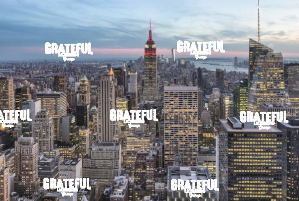 Empire State Building in NYC  6