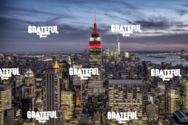 Empire State building in NYC 6