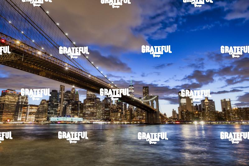 Brooklyn Bridge and New York City 4