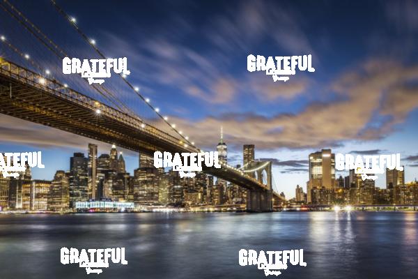 Brooklyn Bridge and New York City 5