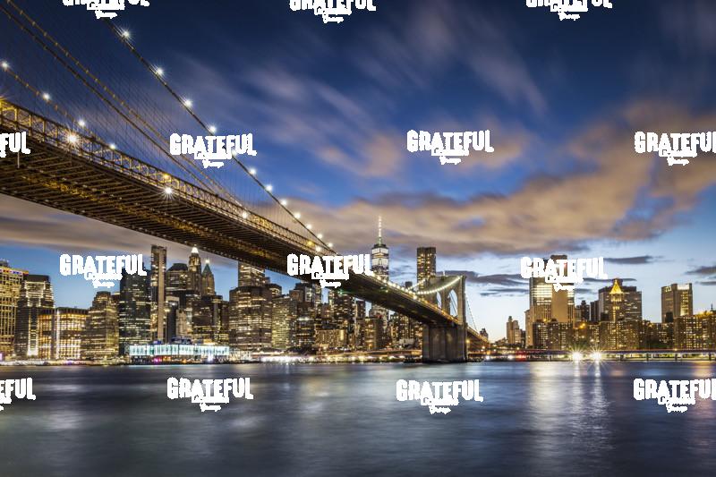 Brooklyn Bridge and New York City 5