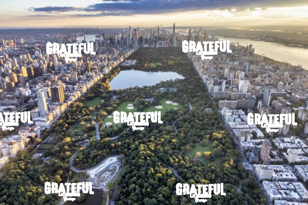 Central Park above NYC