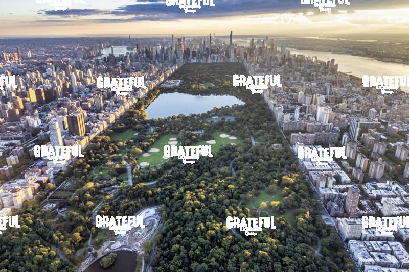 Central Park above NYC