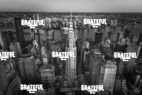 The Chrysler Building in New York City 3