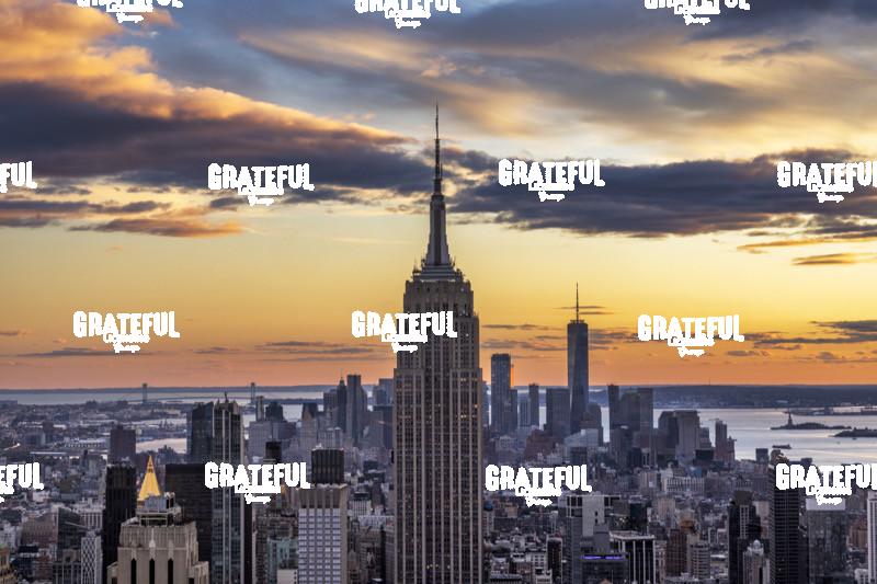 The Empire State Building in New York City 9