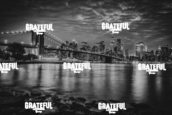 The View of the New York City Skyline from Dumbo