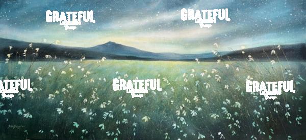 Snowdrop's and Stars 2025