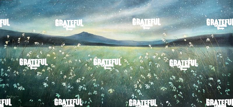 Snowdrop's and Stars 2025