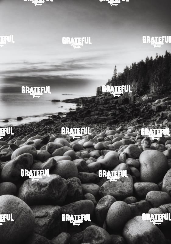 Boulder Beach Acadia national park
